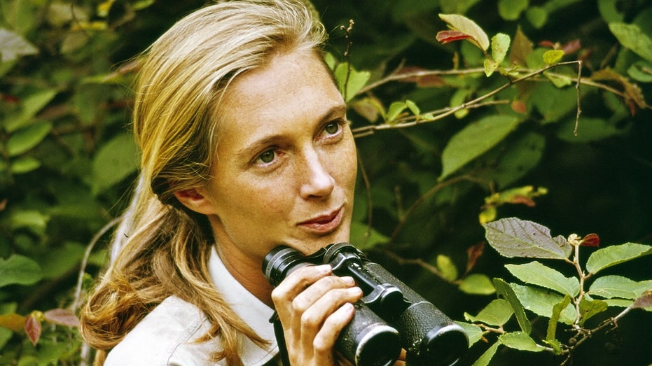 jane-goodall’s-cause-of-death-revealed-weeks-after-beloved-conservationist-dies-at-91