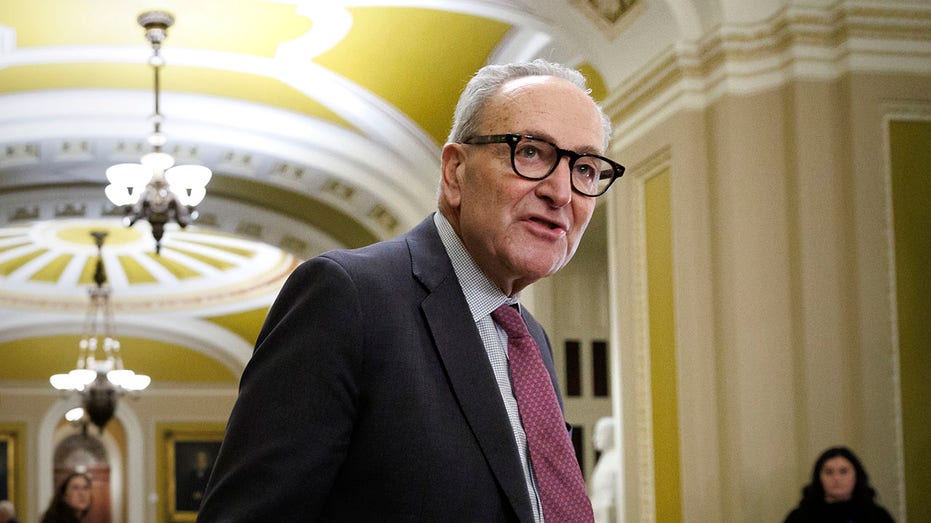 as-shutdown-ends,-furious-democrats-eat-their-own