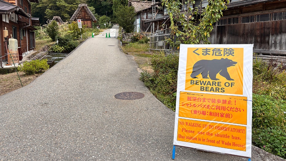 state-department-warns-americans-in-japan-as-deadly-bear-attacks-kill-13-people-since-april:-‘be-diligent’