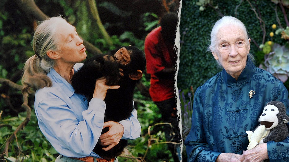 jane-goodall’s-surprising-lesson-on-death-changed-how-this-retired-pastor-sees-life