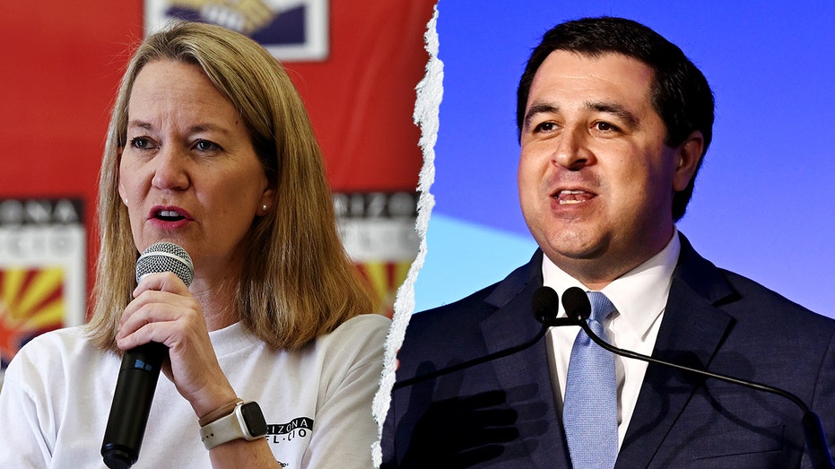 mike-davis:-driving-a-stake-through-2020-election-lawfare