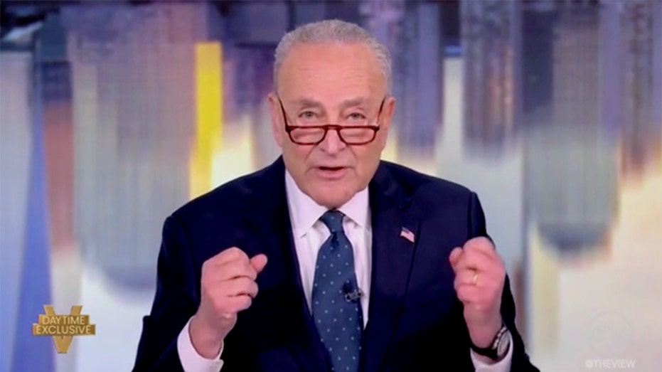 chuck-schumer-knows-how-to-fix-somali-fraud.-he-should-just-ask-…-chuck-schumer