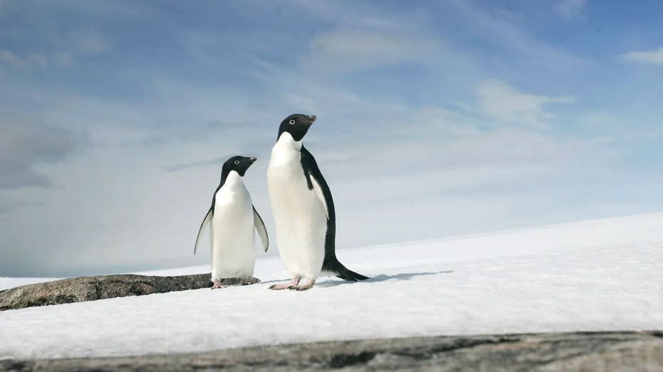 dan-gainor:-leftists-don’t-understand-the-internet-and-it’s-costing-them-the-culture-war