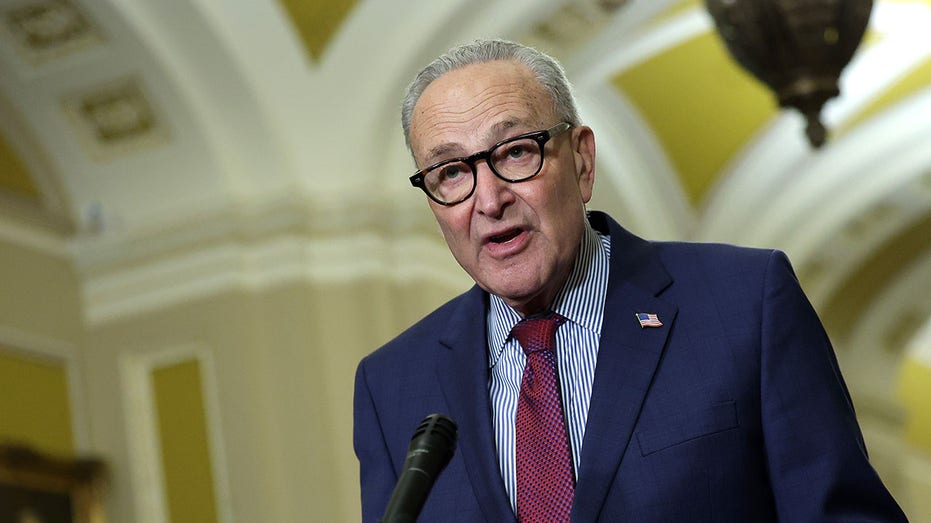 schumer-nukes-gop-push-for-‘jim-crow-era’-voter-id-laws-in-trump-backed-shutdown-package