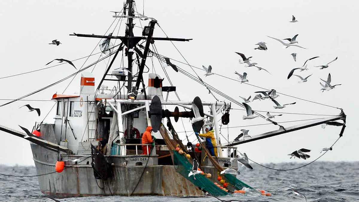 american-seafood-is-national-security-—-and-washington-is-failing-fishermen