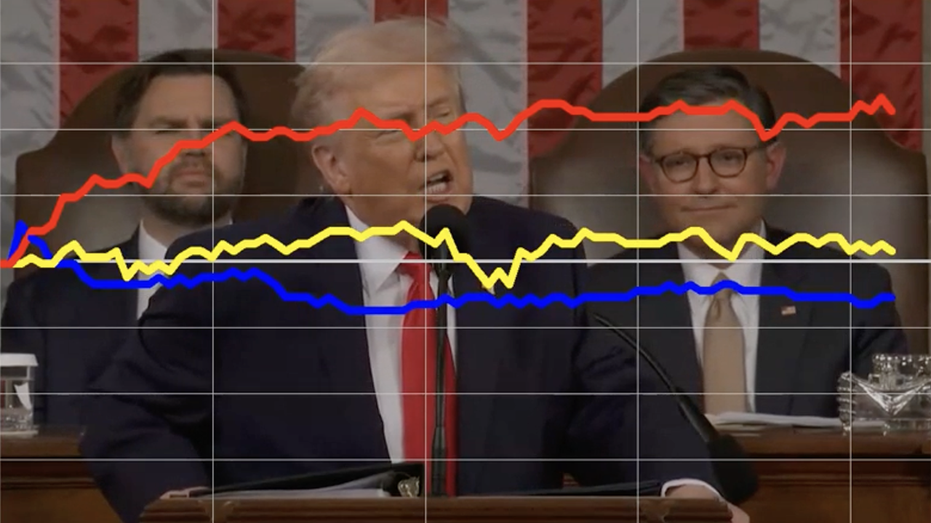 voters-react-as-trump-touts-signature-tariff-plan-at-state-of-the-union
