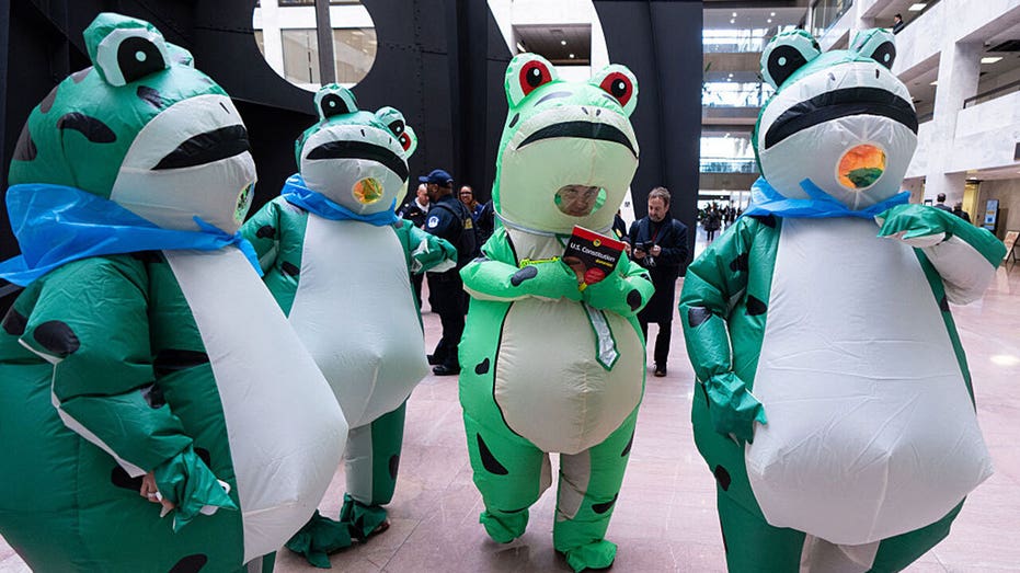 david-marcus:-delusional-dems-‘-dancing-pet-frogs-are-antifa-thugs